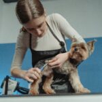 Dog Grooming for Specific Breeds